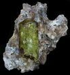 Apatite Crystal In Matrix - Durango, Mexico #33844-4